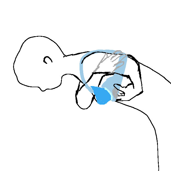 正しいブラつけかた