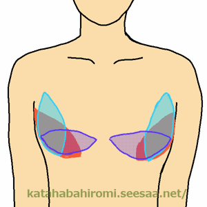 グラビアアイドルの巨乳の作り方