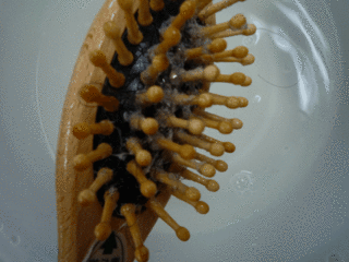 fnbrush1.gif