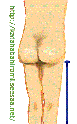 胴長短足さんに朗報 脚の長さとお尻の関係 かたはばひろみの逆三角形ブログ