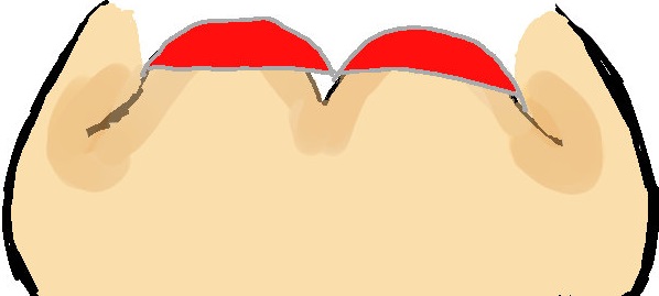 ブラジャーが片方に寄っている