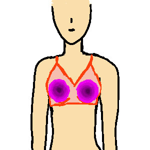 正面向き