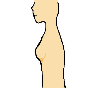 理想のバストの形