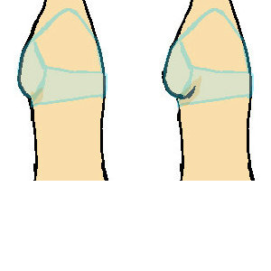 ブラジャーとバストの大きさの比較